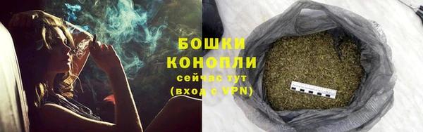 ALPHA PVP Белокуриха