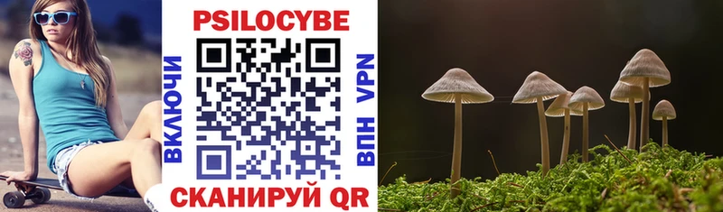Галлюциногенные грибы Psilocybine cubensis  Болгар 